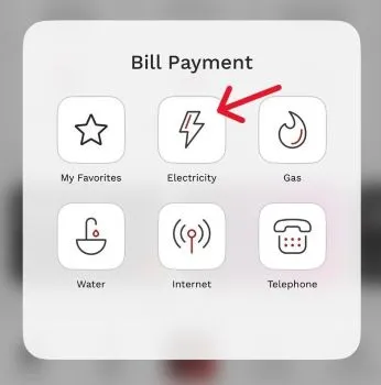 Choose the “Electricity” Option